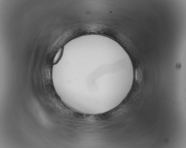 X0000111781155200908131341