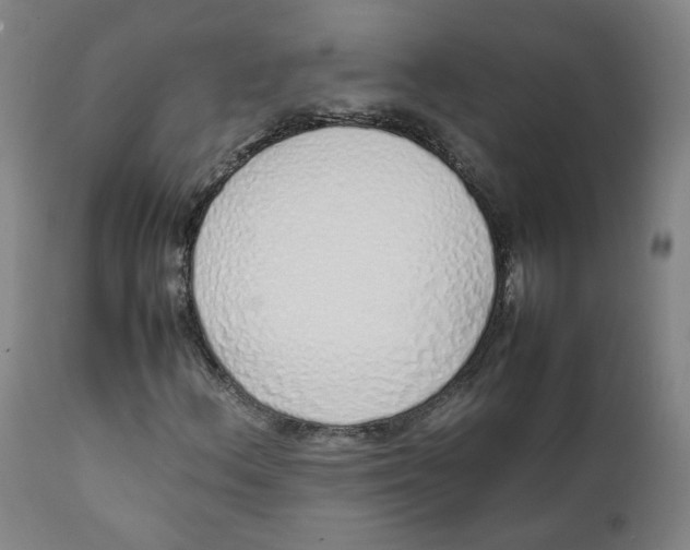 X0000111781156200908131341