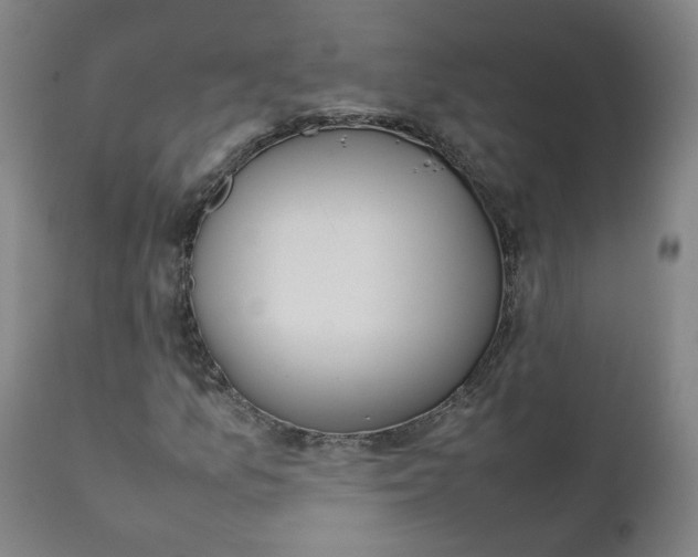 X0000111781157200908131341