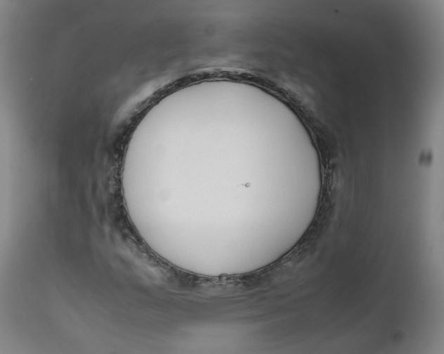 X0000111781159200908131341