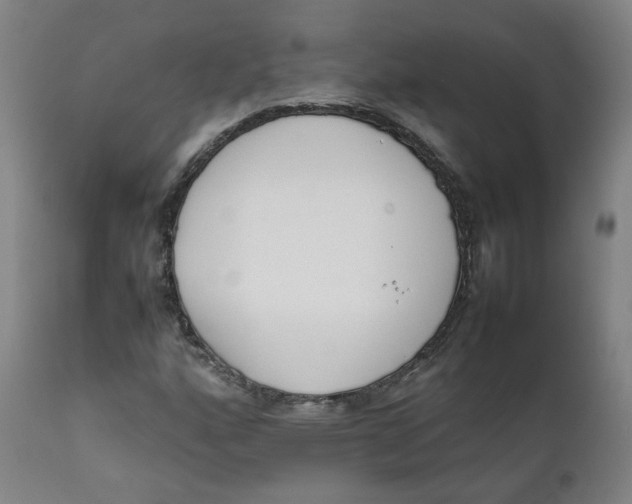 X0000111781160200908131341