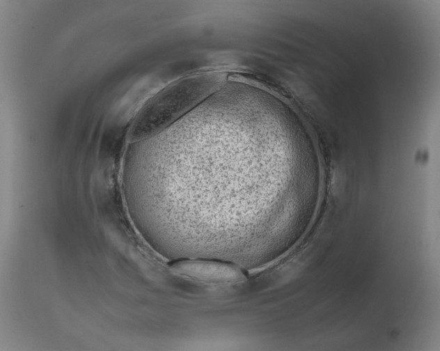 X0000111781161200908131341
