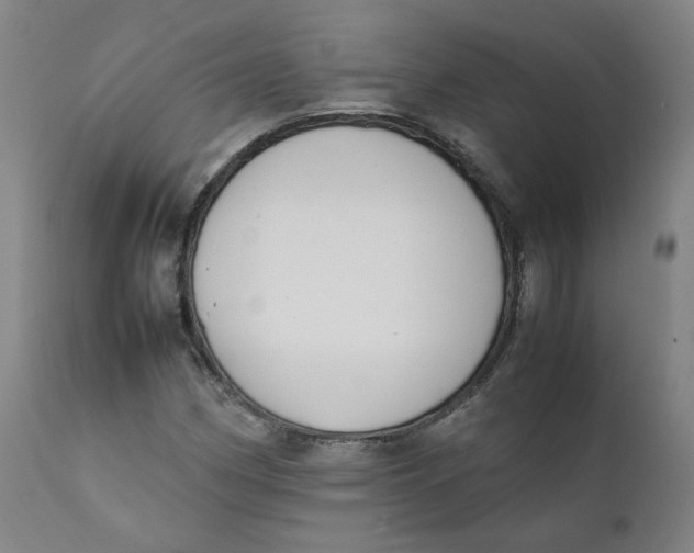 X0000111781162200908131341
