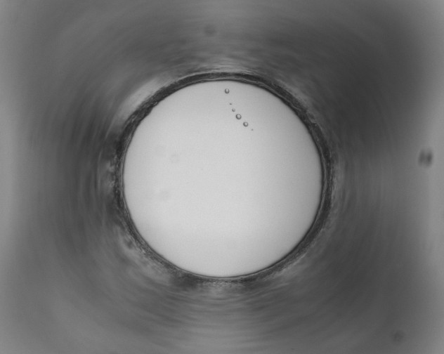 X0000111781163200908131341