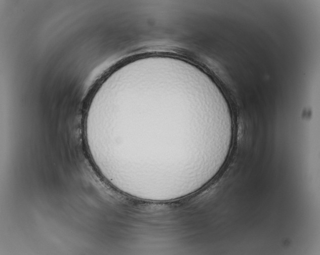 X0000111781164200908131341
