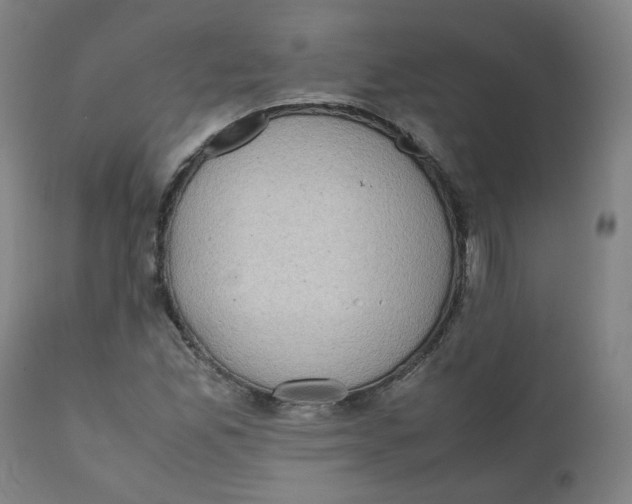 X0000111781165200908131341