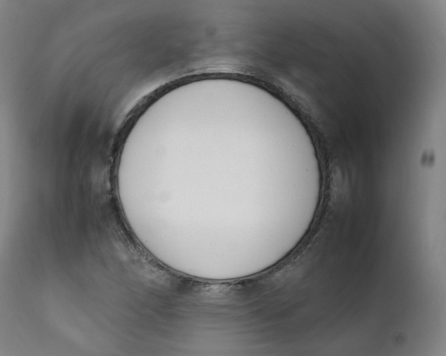 X0000111781166200908131341
