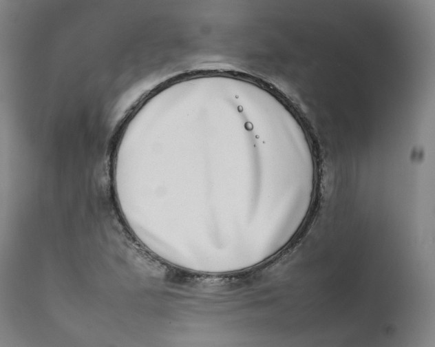 X0000111781167200908131341