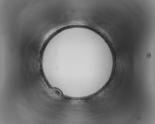 X0000111781168200908131341