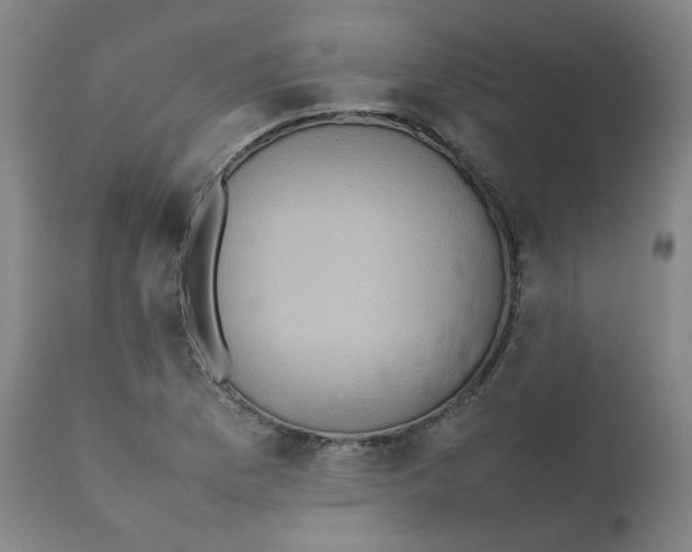 X0000111781169200908131341