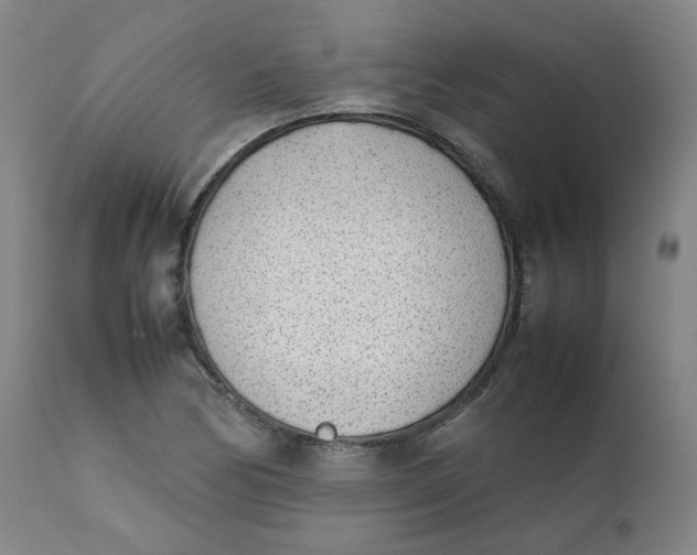 X0000111781170200908131341