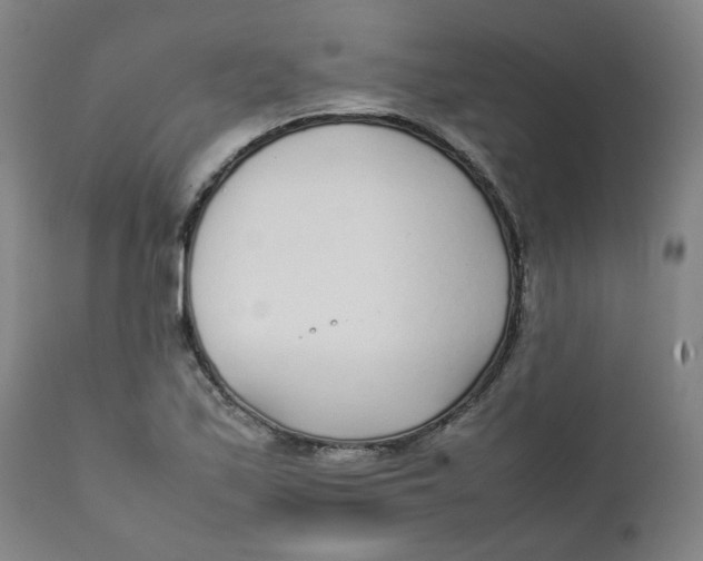 X0000111781171200908131341