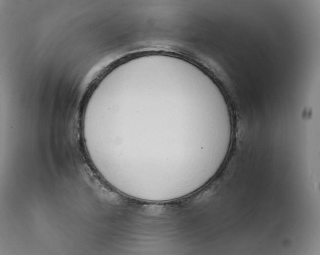 X0000111781172200908131341