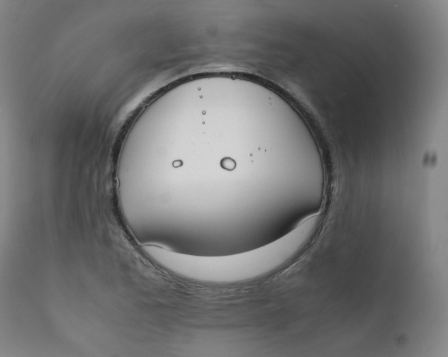X0000111781173200908131341