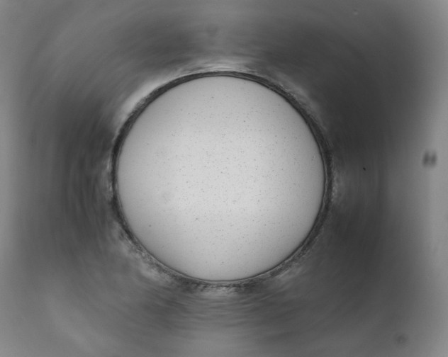 X0000111781174200908131341
