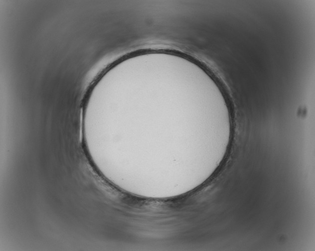 X0000111781175200908131341
