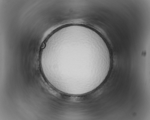 X0000111781176200908131341