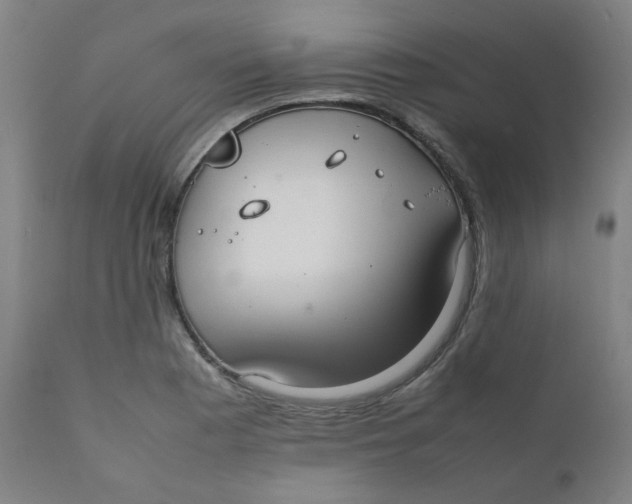 X0000111781177200908131341