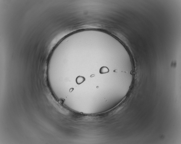 X0000111781179200908131341