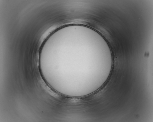 X0000111781180200908131341