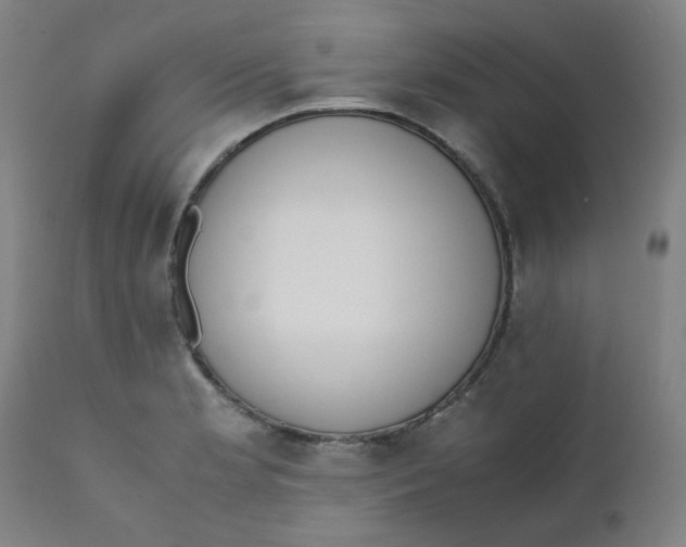 X0000111781181200908131341