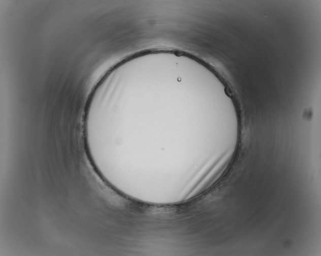 X0000111781183200908131341