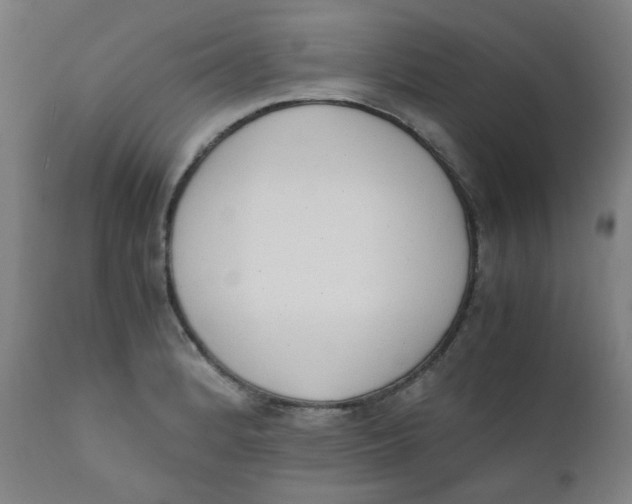 X0000111781184200908131341