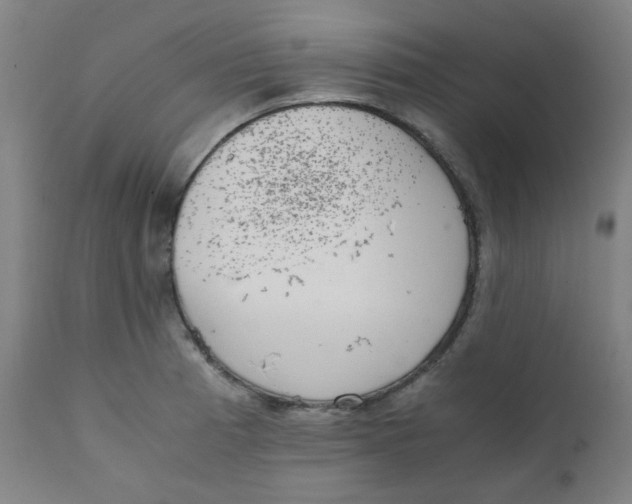 X0000111781185200908131341