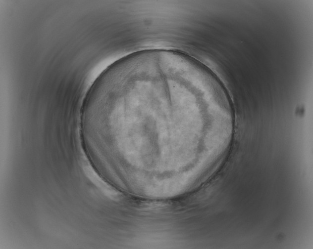 X0000111781187200908131341