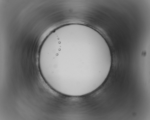 X0000111781188200908131341
