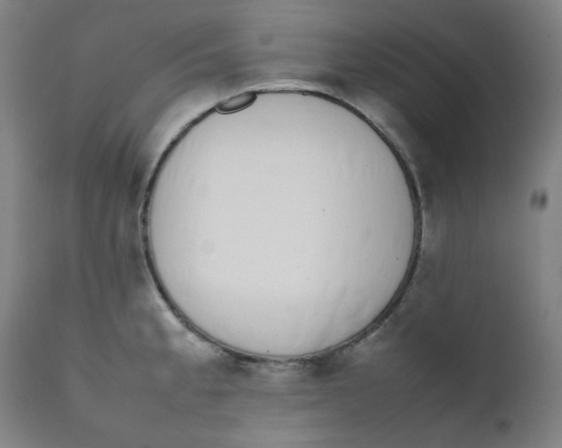 X0000111781189200908131341