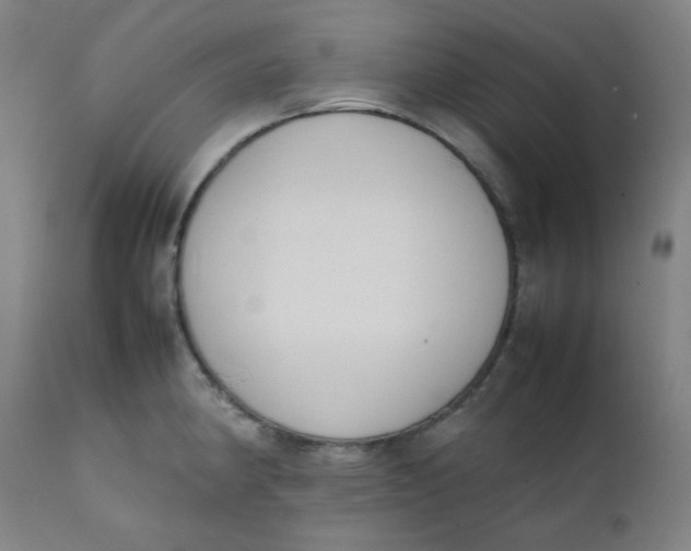 X0000111781190200908131341