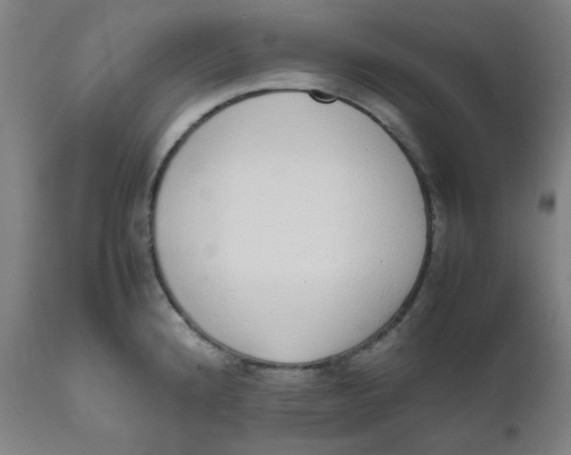 X0000111781192200908131341