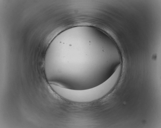 X0000111781193200908131341