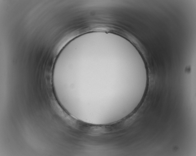 X0000111781194200908131341