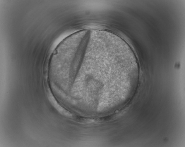 X0000111781195200908131341