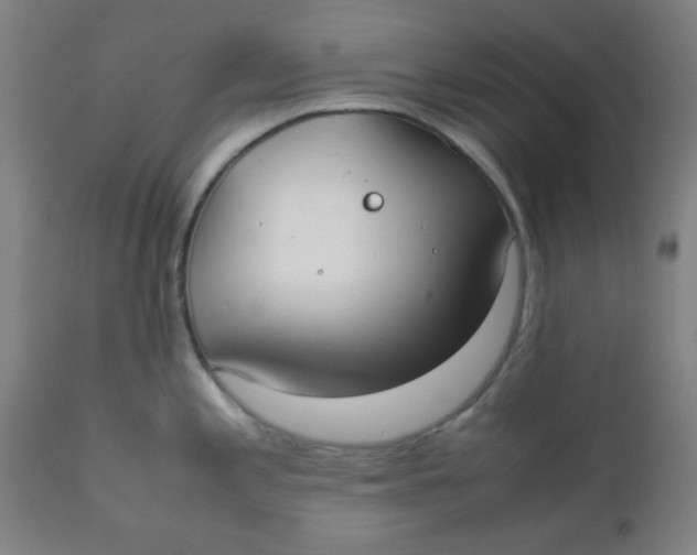 X0000111781197200908131341