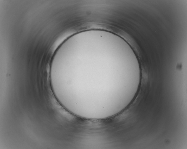 X0000111781198200908131341