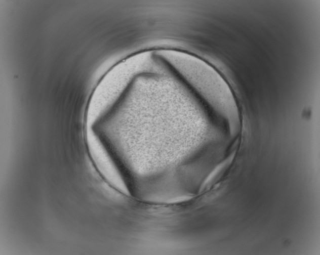 X0000111781199200908131341