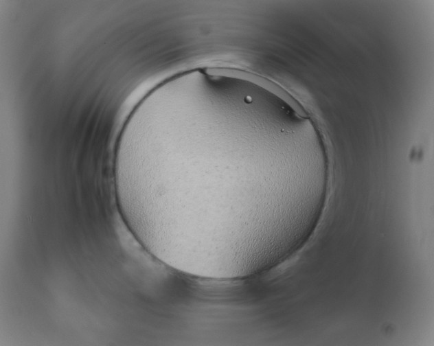 X0000111781200200908131341