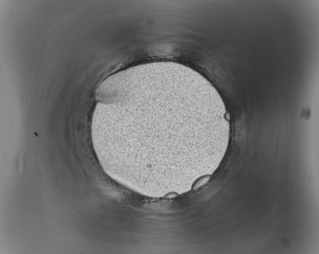 X0000111781201200908131340