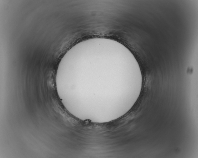 X0000111781202200908131340
