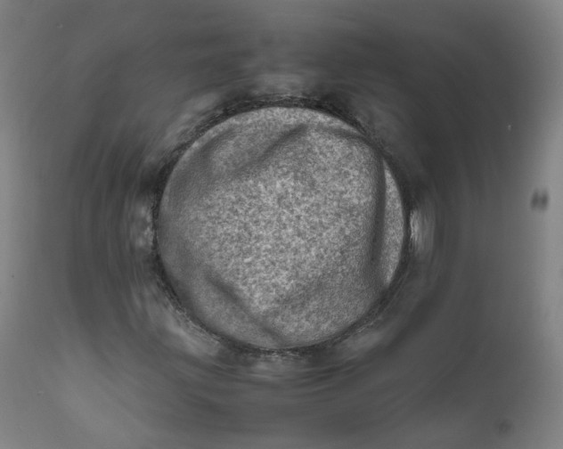 X0000111781203200908131340