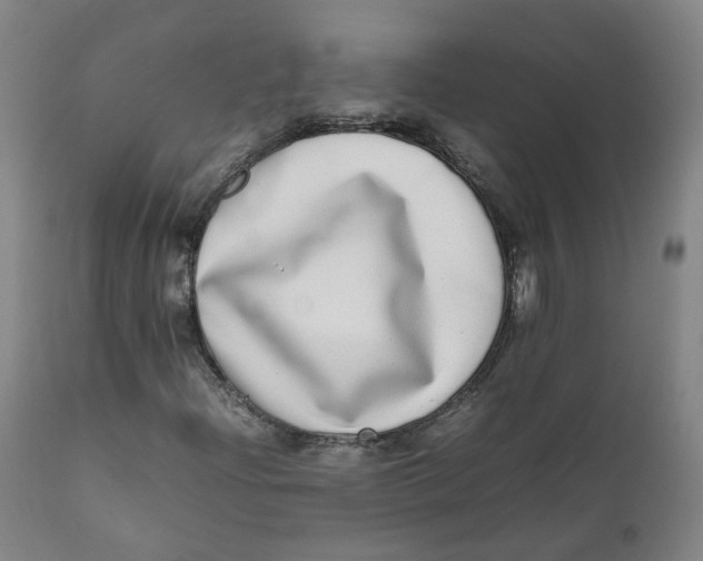 X0000111781204200908131340