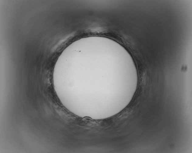 X0000111781205200908131340