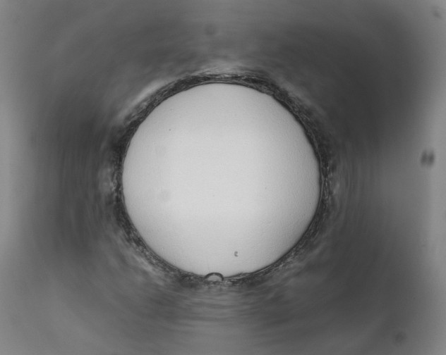X0000111781206200908131340