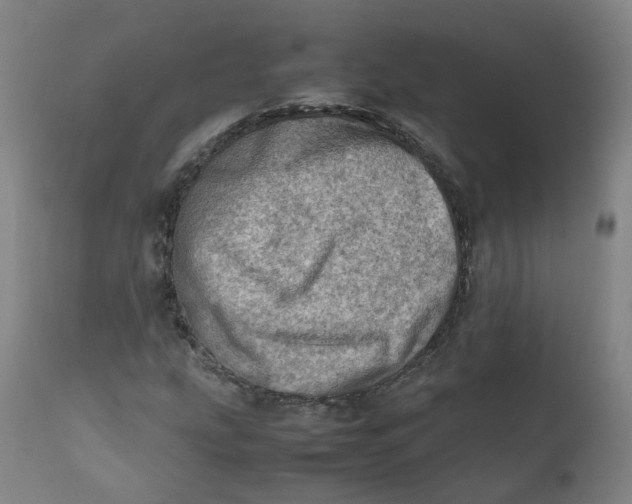 X0000111781207200908131340