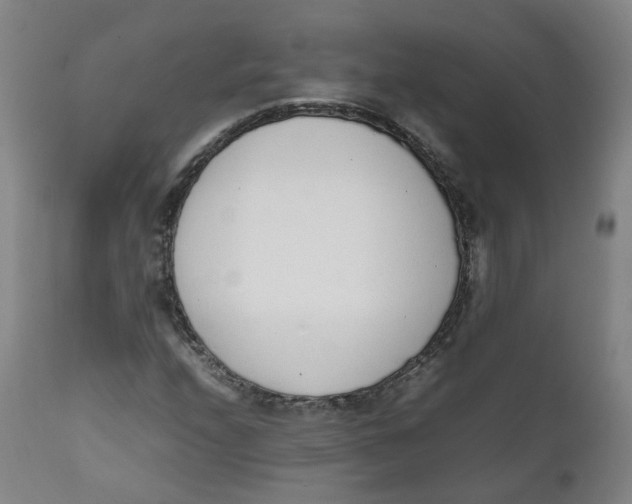 X0000111781208200908131340