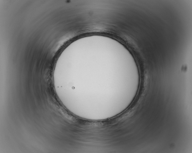 X0000111781210200908131340