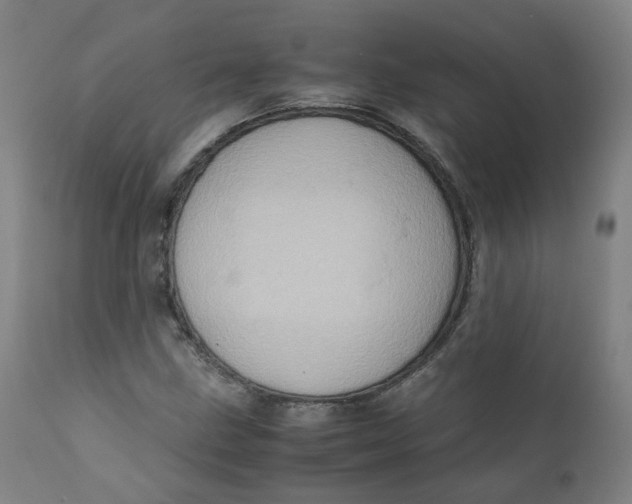 X0000111781211200908131340